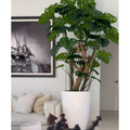 Monstera-Kunstpflanze im hochglänzenden weißen Topf