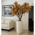 Magnolienbaum in Beige im glänzend weißen Topf – Neu eingetroffen