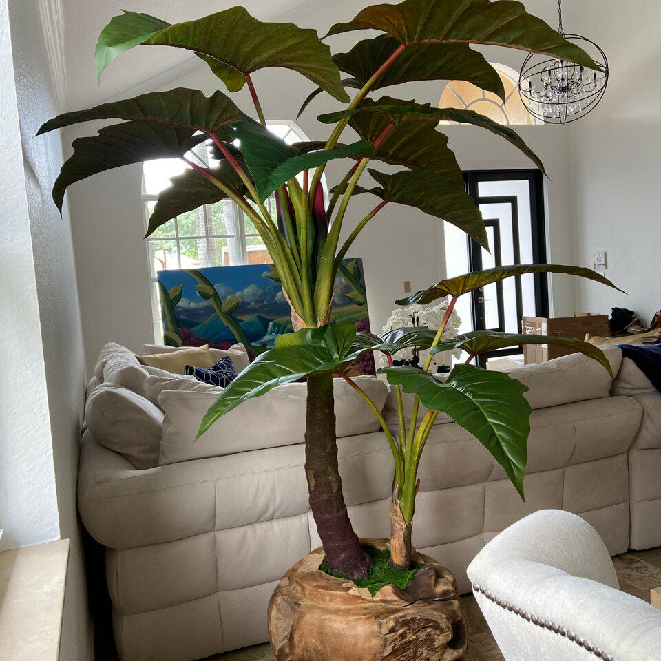 Große Schale aus Teakholz mit Alocasia-Kunstpflanze