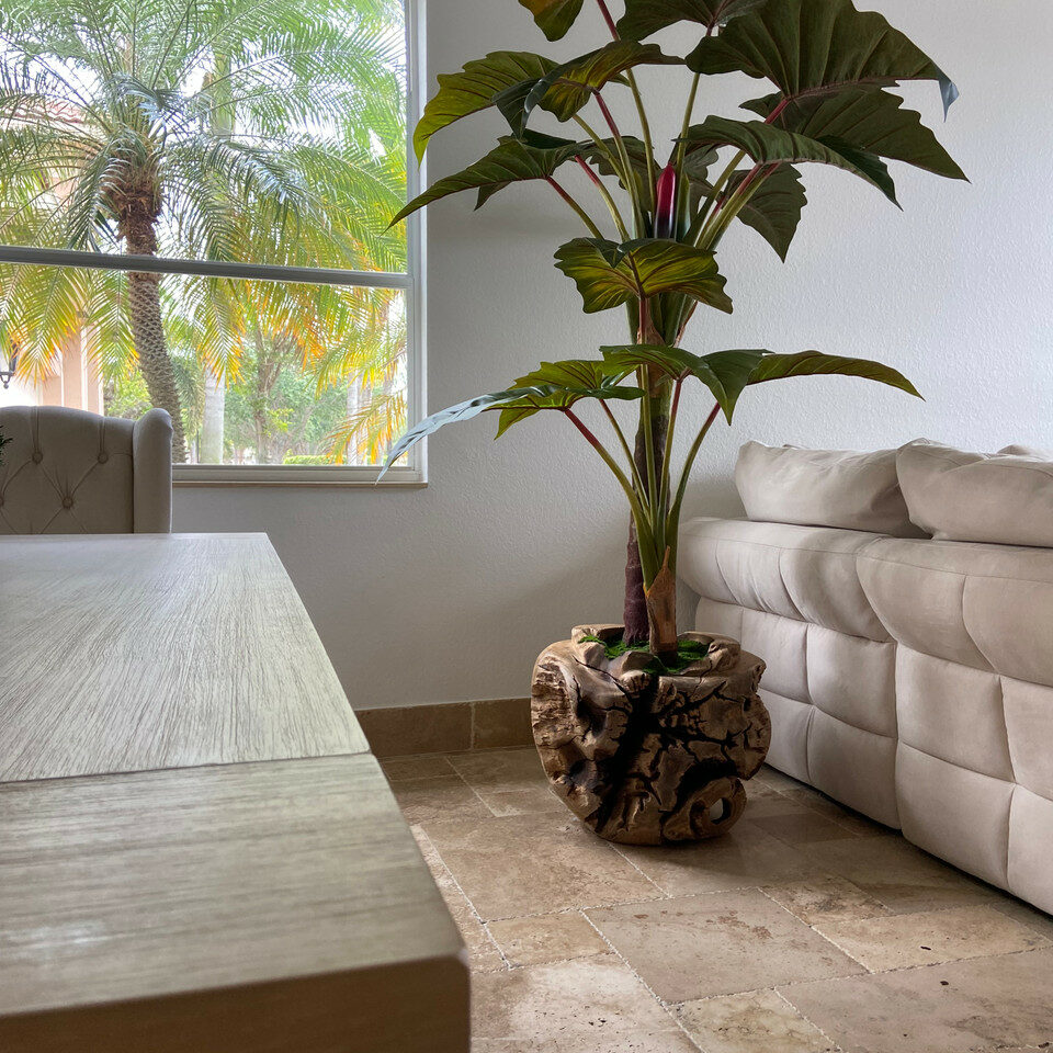 Große Teakholzschale mit Alocasia-Kunstpflanze