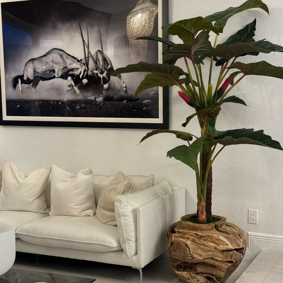 Große Teakholzschale mit Alocasia-Kunstpflanze